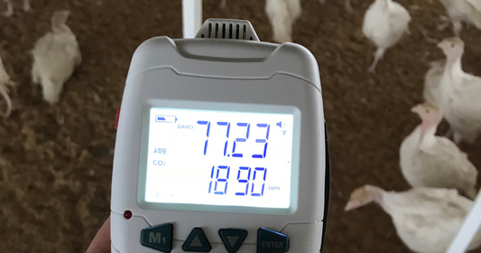 Ammonia Meter Used on Poultry Farms