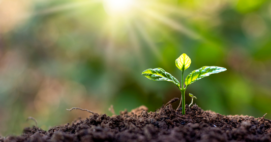 Haney Test Uses CO2 Sensor to Measure Soil Health - CO2 Meter