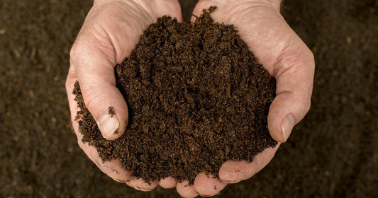 Monitoring CO2 Levels Critical for Compost Success - CO2 Meter