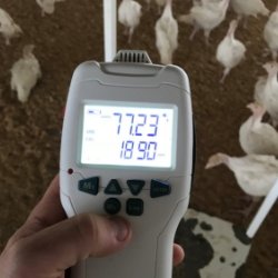 Ammonia Meter Used on Poultry Farms