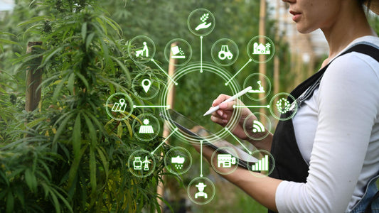 Grow Room CO2 Calculator: Bigger Plants, Lower Costs, Safety