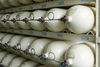 Compressed Gas Cylinder Safety, OSHA Compliance and CO2 Gas Monitoring Solutions