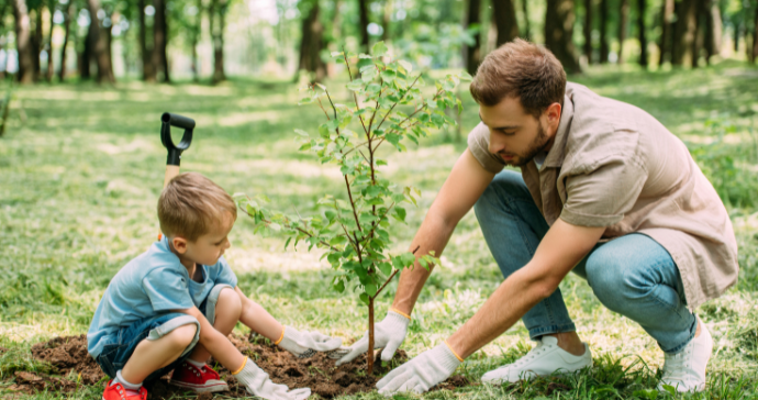 Could Global CO2 Levels be Reduced by Planting Trees? - CO2 Meter