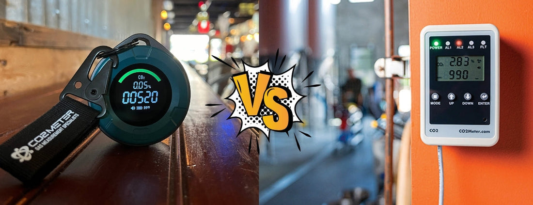 Fixed vs. Portable Gas Detection: What's the Difference?