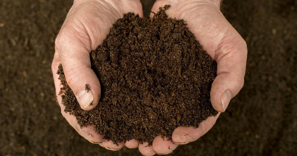 Monitoring CO2 Levels Critical for Compost Success