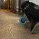 PRO-10 on the beltloop of a gas detector installer