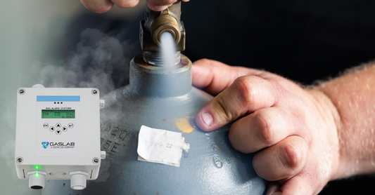 Types of Industrial and Fixed Gas Detectors: How to Protect Your Facility from Gas Leaks