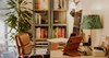 CO2 Levels at Home: A Guide to Testing Indoor Air Quality
