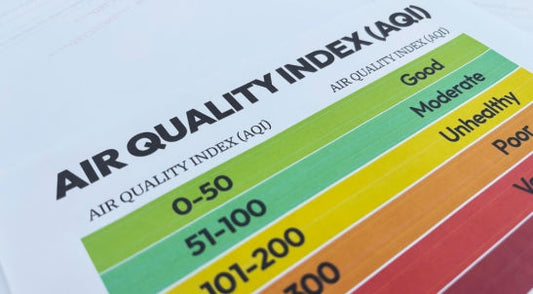 Why Indoor Air Quality in Offices Matters for Employee Health and Productivity