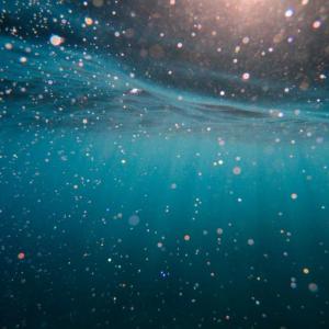 Bacteria that Absorbs CO2 Found on Ocean Floor