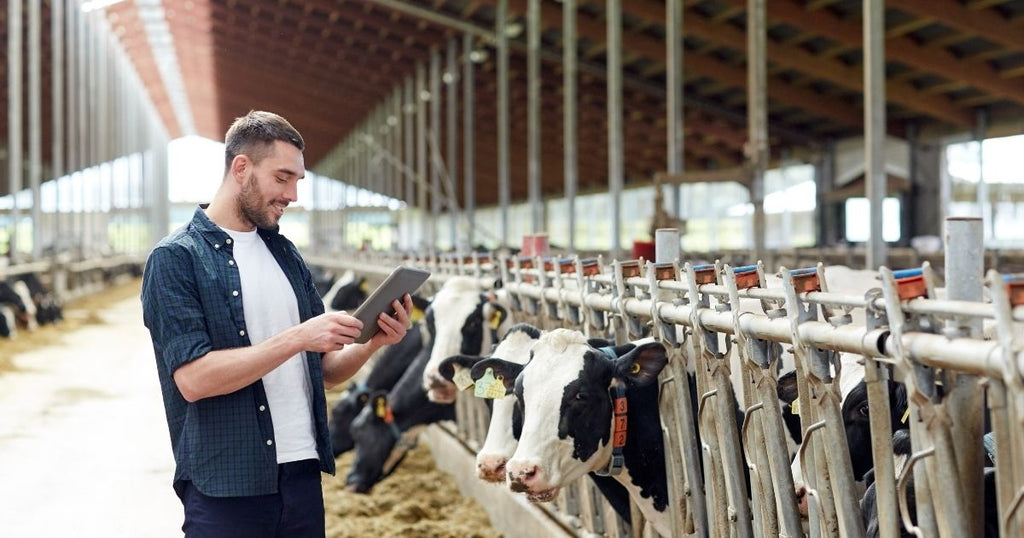 Carbon Dioxide Monitoring in Dairy Farms