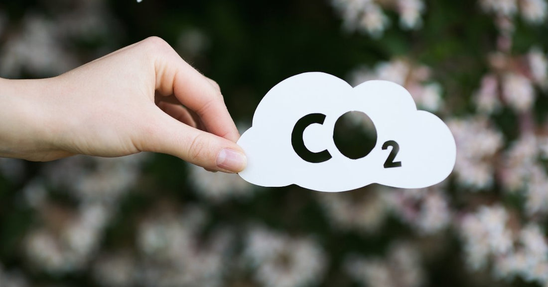 CO2 Sensor Range: PPM and Percentage Compared - CO2 Meter