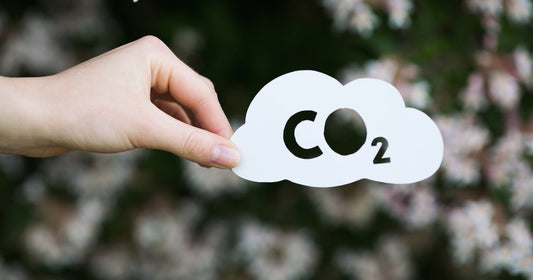 CO2 Sensor Range: PPM and Percentage Compared - CO2 Meter