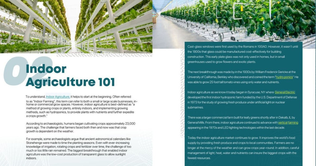 eBook: CO2Meter Guide to Understanding Indoor Agriculture and CO2
