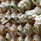 Monitoring CO2 Levels Critical for Mushroom Farm Success - CO2 Meter