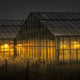 Why Control CO2 Levels at Night in Plant Grow Rooms? - CO2 Meter