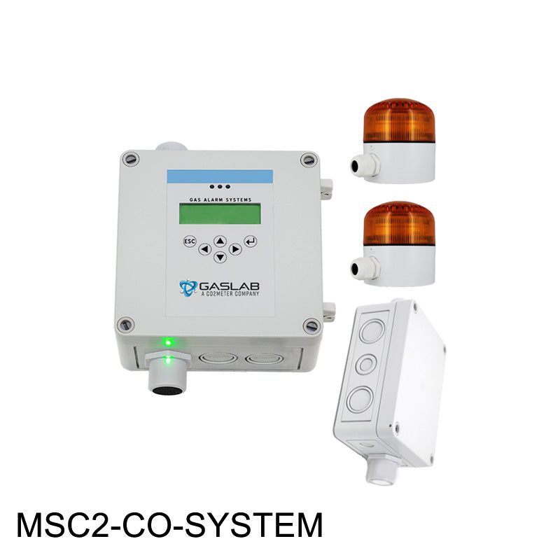 Carbon Monoxide (CO) Fixed Gas Detection System | Continuous CO Monitoring with Alarm System
